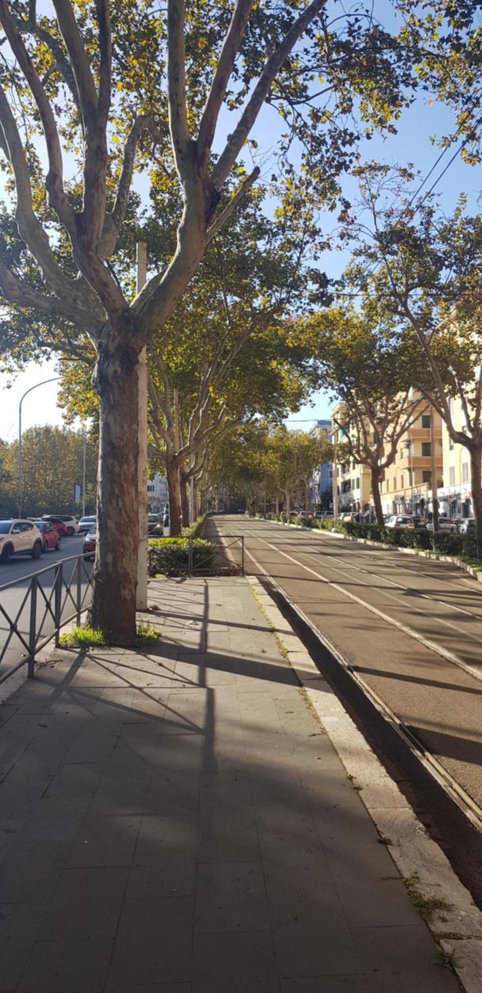 Trastevere Residenze โรม ภายนอก รูปภาพ
